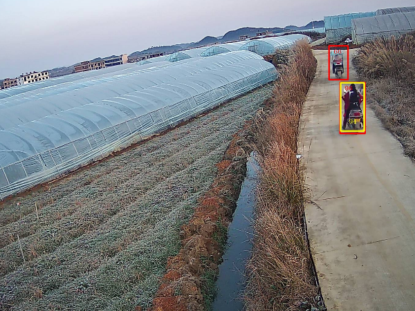 有了果園智能視頻監(jiān)控系統(tǒng)，從此只需要開心地種果實